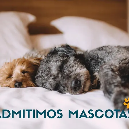 Valdecilla 3000 بيت ضيافة سانتاندر