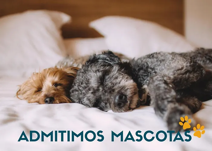 Valdecilla 3000 Vendégház Santender